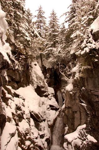 DSC_1238.JPG