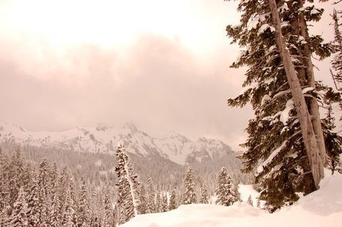 DSC_1264.JPG