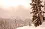 DSC_1264.JPG