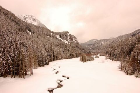 DSC_1265.JPG