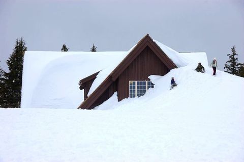 DSC_1353.JPG