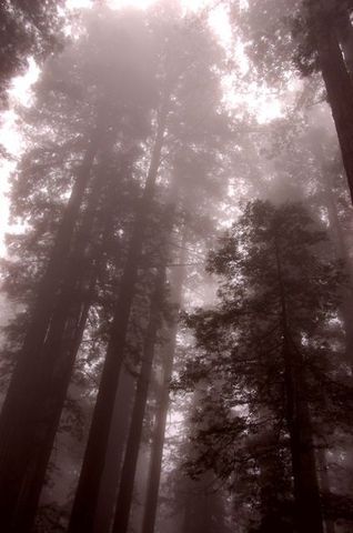 DSC_1385.JPG