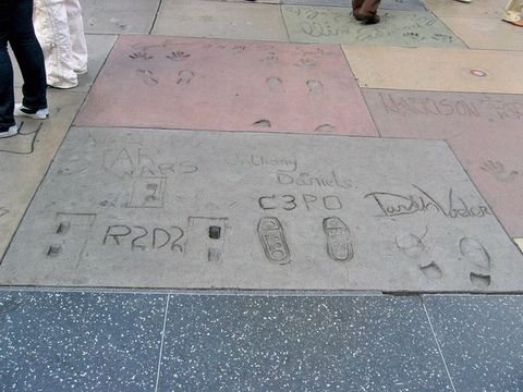 IMG_4578.JPG