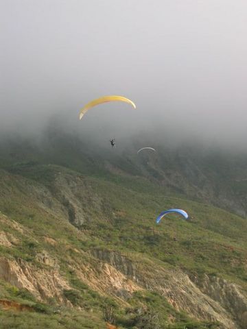 IMG_1237.JPG