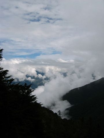 IMG_1255.JPG