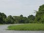 IMG_1295.JPG