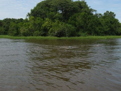IMG_1298.JPG