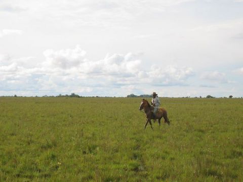 IMG_1358.JPG